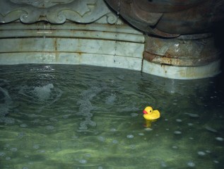 Children of Shelters